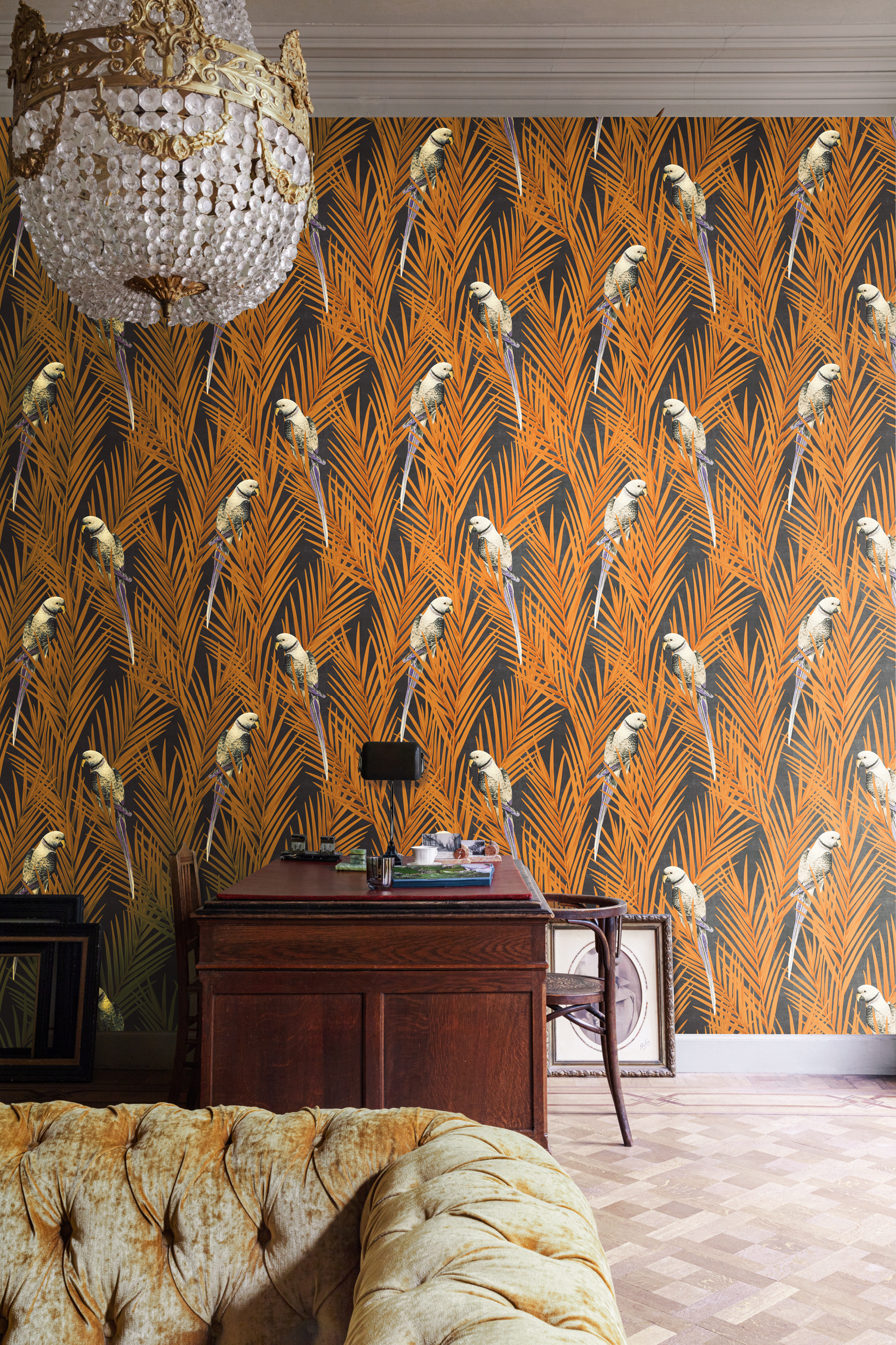 Wallpaper - Cabinet of Curiosities