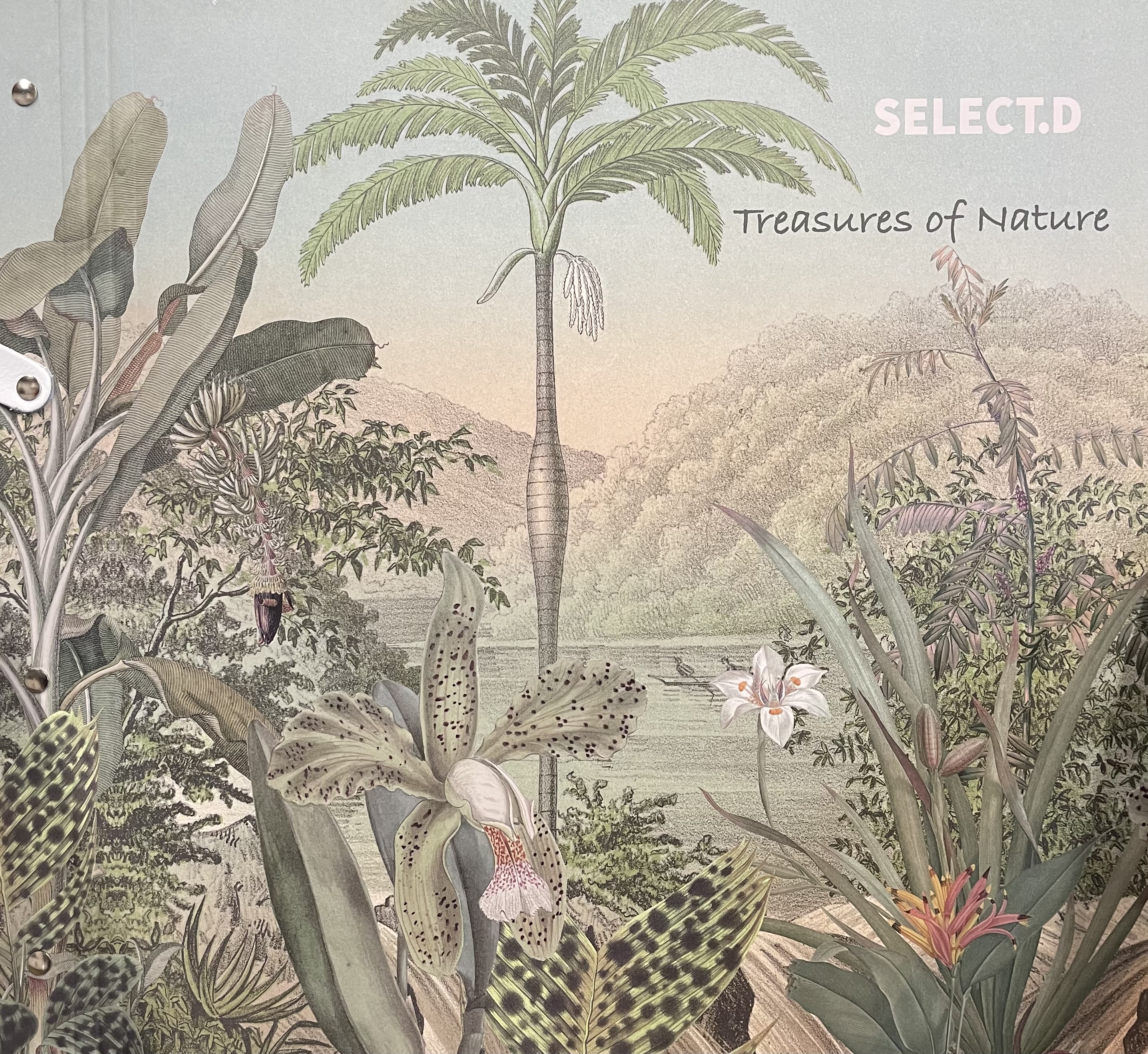 Brands - Treasures of Nature