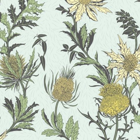 Cole & Son Botanical ~Botanica~ Thistle Carduus 115/14042