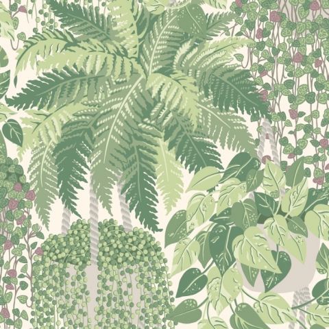 Cole & Son Botanical ~Botanica~ Fern Dryopteris 115/7021