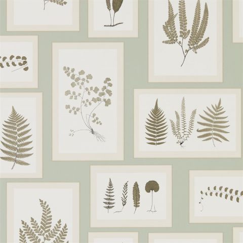 Sanderson Woodland Walk - Fern Gallery Blue/Sepia 215715