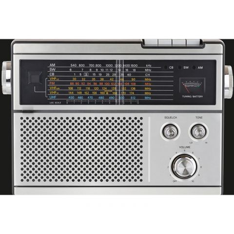 AP Digital II Radio Gaga 401