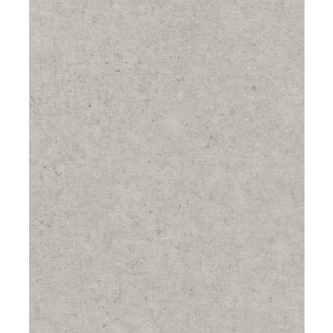 Rasch Concrete 520859