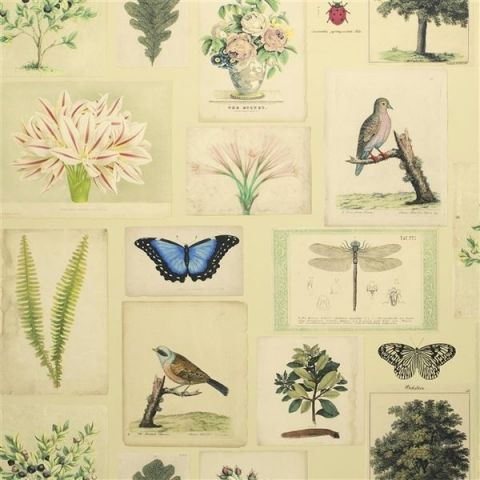 John Derian Picture Book Wallpapers - Flora and Fauna PJD6001/01