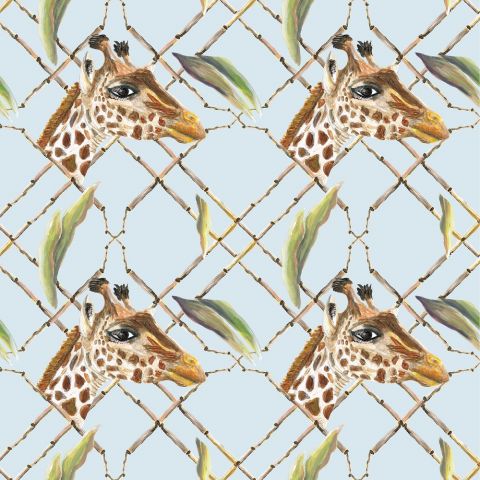 Catchii Giraffes in the Savanna W100192