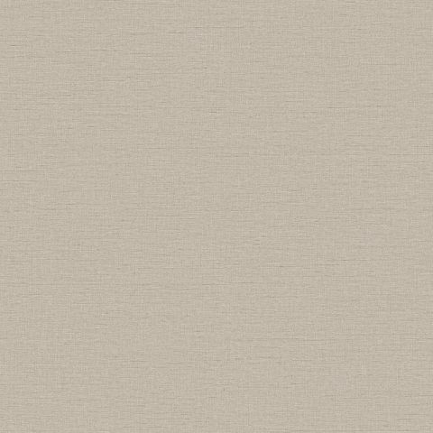 DUTCH WALLCOVERINGS BEST SELLER COLLECTION VOL.1 -  WF121059